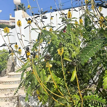 Exclusive Dream In Torreblanca! Βίλα Fuengirola